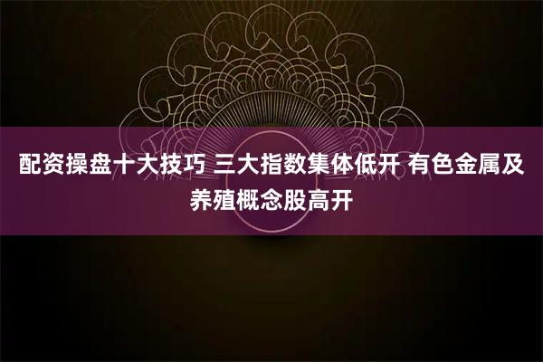 配资操盘十大技巧 三大指数集体低开 有色金属及养殖概念股高开